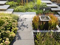 Schellevis Oud Hollands