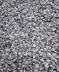 Big bag Klei Schelpen 8-16mm