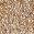 Beige, Champagne