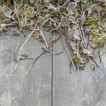 GeoCeramica® 60x30x6 cm Timber Grigio 2Drive