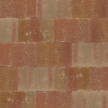 Abbeystones 20x30x6 cm Grigio met deklaag
