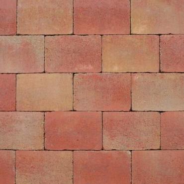 Abbeystones 20x30x6 cm Grigio met deklaag