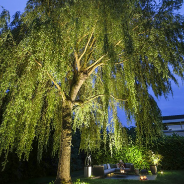 Big Nero 12V 11.9 VA