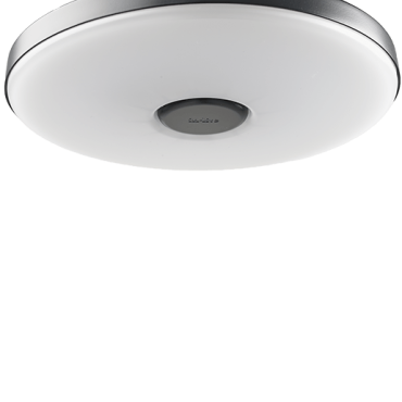 Disc Pendant