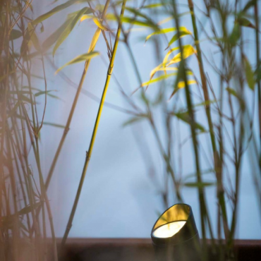 Shield 1 Accessoire MINI SCOPE