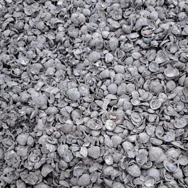 Big bag Klei Schelpen 8-16mm