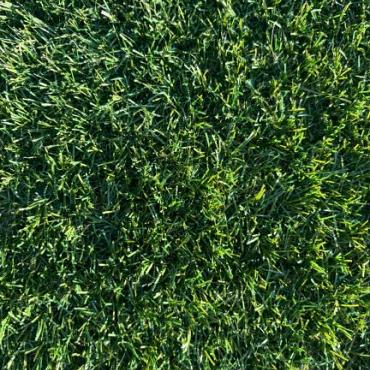 Smartgrass Jazz, poolhoogte 45 mm (rol = 400 cm breed)