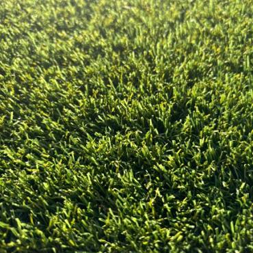Smartgrass Dense