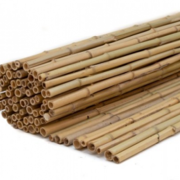 Bamboescherm Dalian 200x180 cm