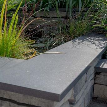 Vijverrand 100x20x3 cm Black basalt gezoet/ President Black