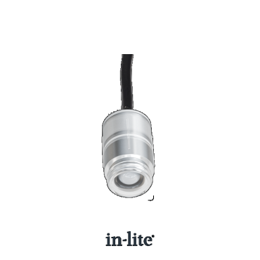 DOT 22 (without ring)