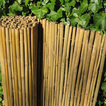 Bamboescherm Dalian 150x180 cm