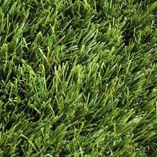 Smartgrass Real Maximus 4m breed