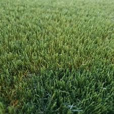 Smartgrass Esmeralda 4m breed poolhoogte 25 mm