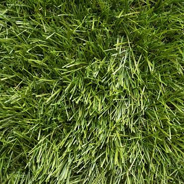 Smartgrass Larch 40mm hoog 4m breed