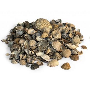 Schelpen 8-16MM 15LTR Grijs Genuanceerd