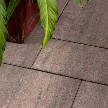 Facetta Wildverband Silver Brown