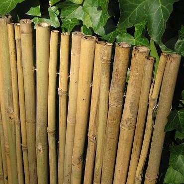 Bamboescherm Dalian 35x200 cm