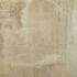 GeoCeramica® 80x80x4 Commodore Ostrica