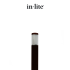 LIV LOW Corten 12V solitary