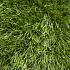 Smartgrass Montone 4m breed