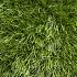 Smartgrass Larch 40mm hoog 4m breed