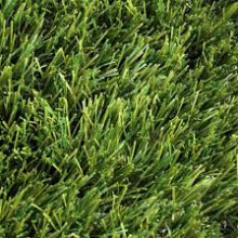 smartgrass real maximus 4m breed