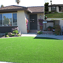 Smartgrass