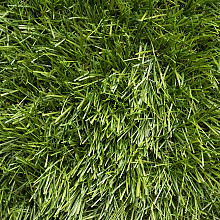 smartgrass larch 40mm hoog 4m breed