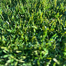 smartgrass jazz poolhoogte 45 mm rol 400 cm breed 