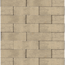 georetron privato 20x5x6 haarzuilen