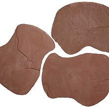 flagstone p st. mandana kwartszandsteen 2 5 4cm dik