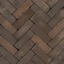 gebakken dikformaat oud castricum 20x6.5x6 cm getr