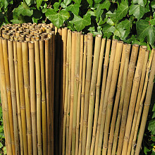 bamboescherm dalian 180x180 cm