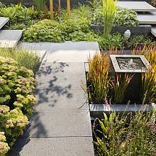 schellevis oud hollands